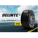 Delinte 205/50 R17 93W Delinte DS2